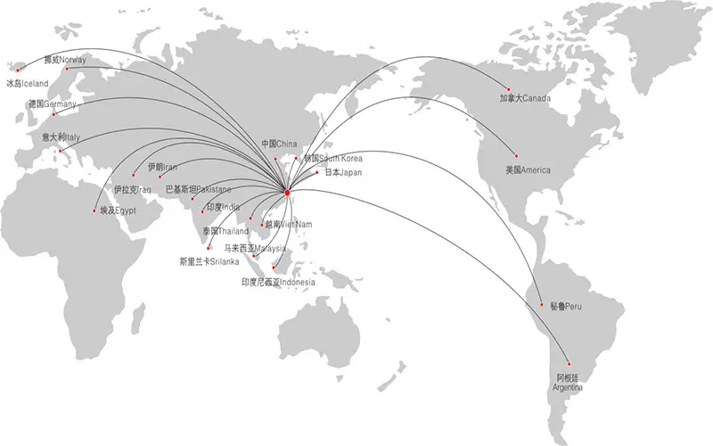 Global Channel Layout: Multi-dimensional Network, Comprehensive Reach