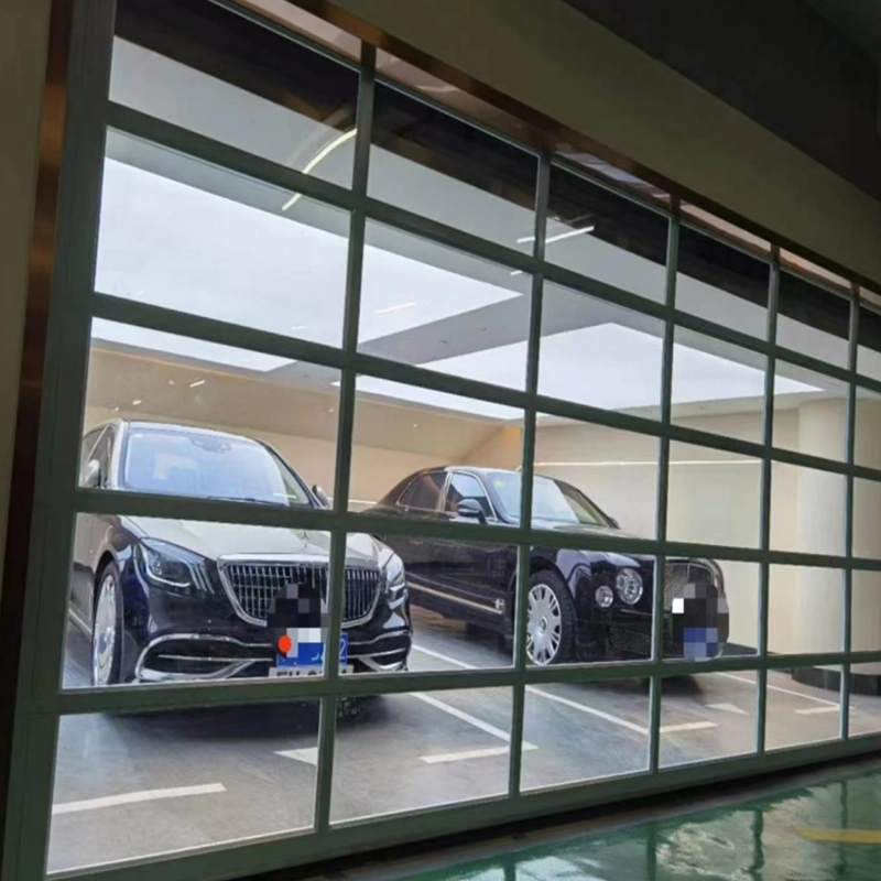 Panoramic Aluminum Vision Door
